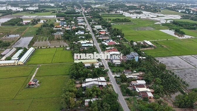 Siêu phẩm ONT 248.2 m2 mặt tiền ấp Mỹ Thạnh Bắc, Đức Huệ, Long An
