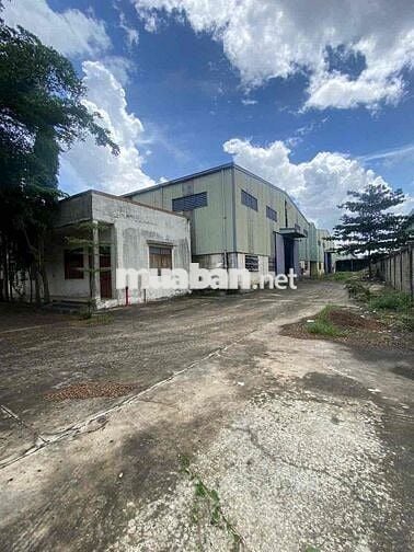 Cho thuê xưởng trong CCN hóc môn TP HCM 💥 Khuôn viên 6.000m2 💥 DT xưởn