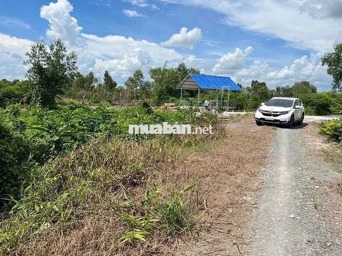 Bán đất 1184m2, gần chợ Bình Hoà Nam, Đức Huệ, Long An