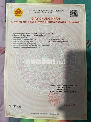 Siêu phẩm ONT 248.2 m2 mặt tiền ấp Mỹ Thạnh Bắc, Đức Huệ, Long An