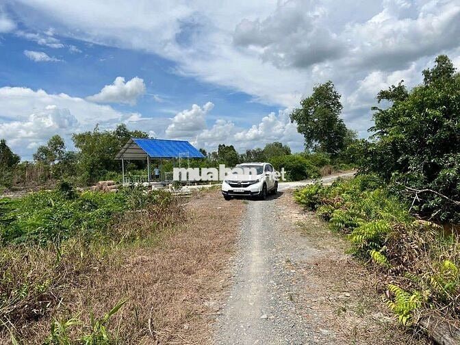 Bán đất 1184m2, gần chợ Bình Hoà Nam, Đức Huệ, Long An