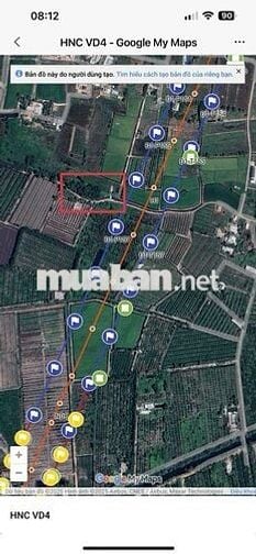 Bán đất 1184m2, gần chợ Bình Hoà Nam, Đức Huệ, Long An