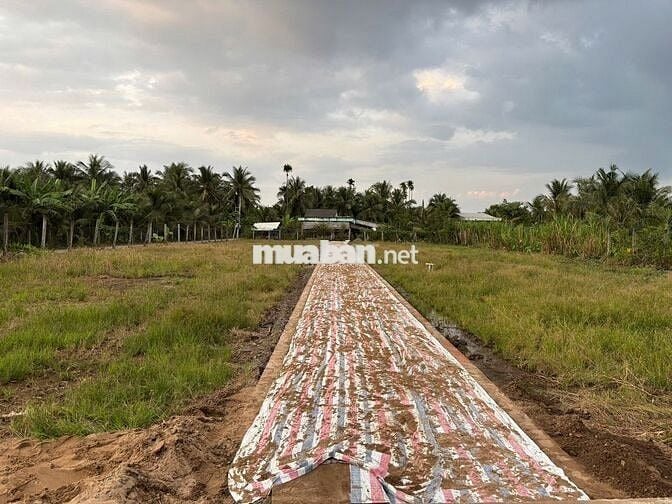 💥 ĐẤT NỀN LONG HÒA B – VỊ TRÍ VÀNG, GIÁ F0 CỰC TỐT 💥