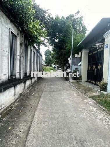 CHÍNH CHỦ BÁN ĐẤT 125M2 5X25 NGUYỄN CHÍ THANH TÂN AN- 2.35 TỶ