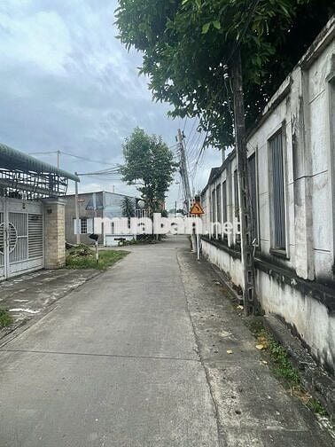 CHÍNH CHỦ BÁN ĐẤT 125M2 5X25 NGUYỄN CHÍ THANH TÂN AN- 2.35 TỶ