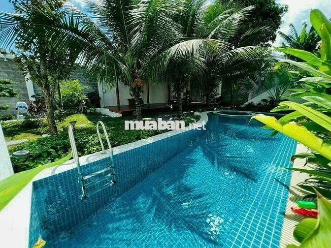 Giảm chốt Biệt Phủ Hồ Bơi Trung Tâm Thủ Dầu Một|14x76|Full gỗ cao cấp