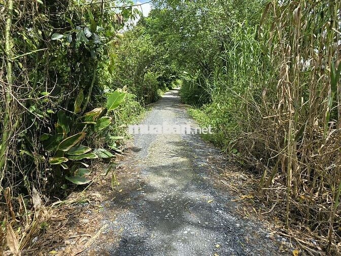 Đất nền 6x18 full thổ cách Cầu Phú Hựu 300m