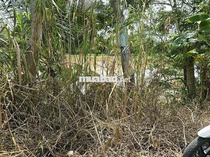 Đất nền 6x18 full thổ cách Cầu Phú Hựu 300m