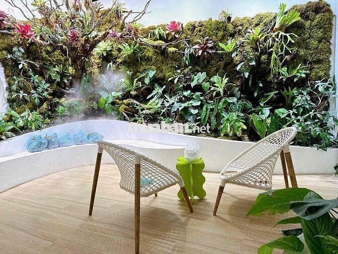 Giảm chốt Biệt Phủ Hồ Bơi Trung Tâm Thủ Dầu Một|14x76|Full gỗ cao cấp