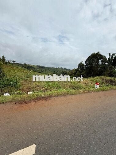 Bán đất thổ cư bên đường Quốc lộ 14, xã Thuận An, tỉnh Lâm Đồng