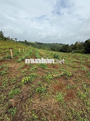 Bán đất thổ cư bên đường Quốc lộ 14, xã Thuận An, tỉnh Lâm Đồng