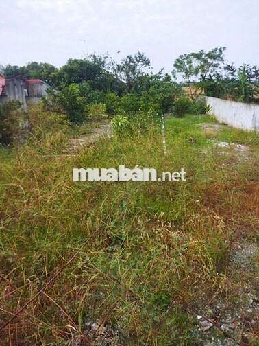 Bán đất thổ cư sổ đỏ chính chủ