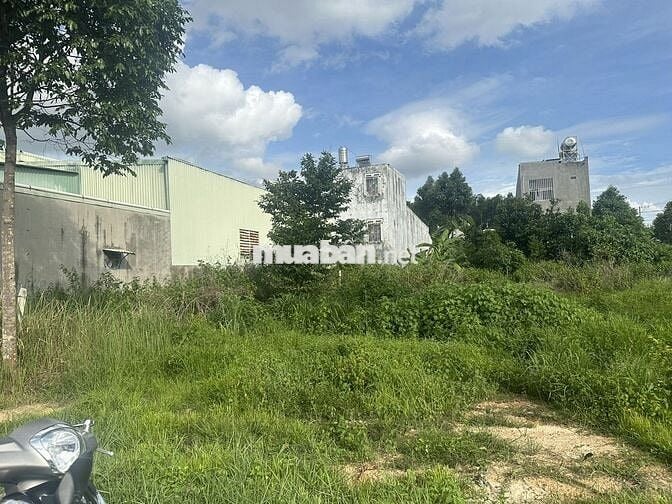 Bán Đất Giá Rẻ Lai Uyên Bàu Bàng 520tr 500m2 có 100 thổ cư đường lớn