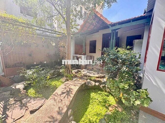 Ngang 12m - Biệt Thự Sân Vườn Số 159 Nguyễn Văn Thủ, Quận 1