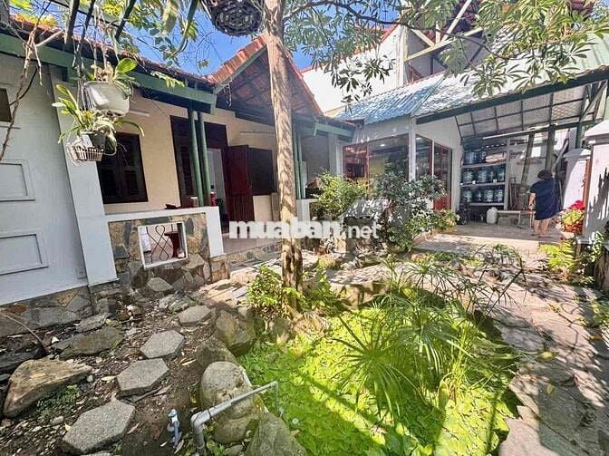 Ngang 12m - Biệt Thự Sân Vườn Số 159 Nguyễn Văn Thủ, Quận 1