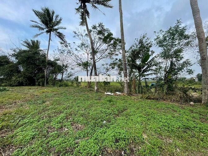 Cần bán gấp 4514,7m2 đất tại mặt tiền Quốc lộ 19, đối diện trường lái