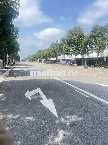 BÁN ĐẤT GIÁ RẺ NGAY TTHC BÀU BÀNG 150M2 - SHR ĐANG CHO THUÊ MẶT BẰNG