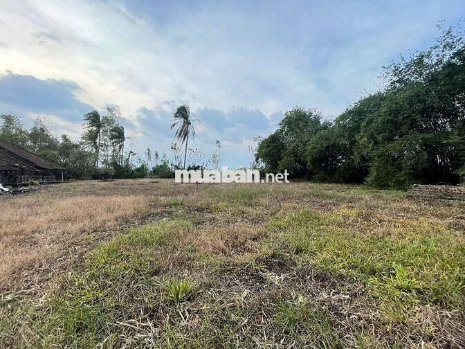 Cần bán gấp 4514,7m2 đất tại mặt tiền Quốc lộ 19, đối diện trường lái