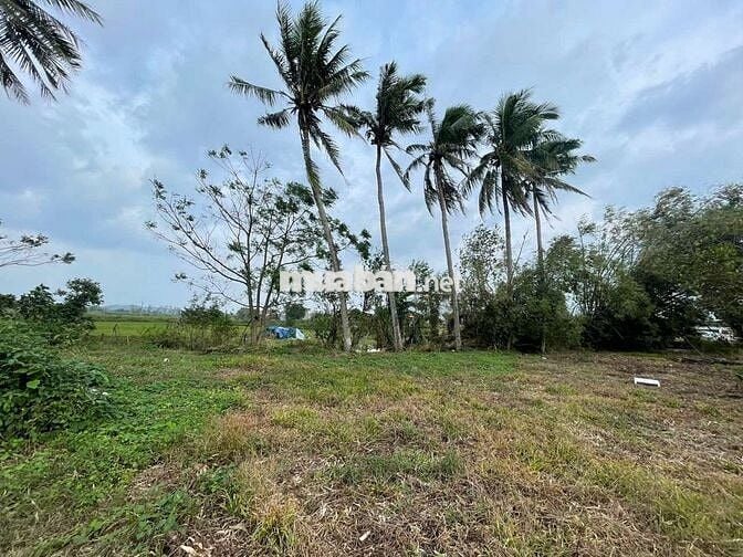 Cần bán gấp 4514,7m2 đất tại mặt tiền Quốc lộ 19, đối diện trường lái