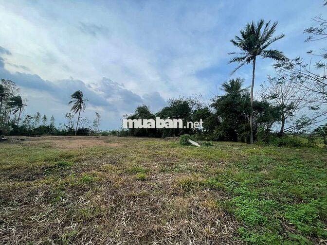 Cần bán gấp 4514,7m2 đất tại mặt tiền Quốc lộ 19, đối diện trường lái