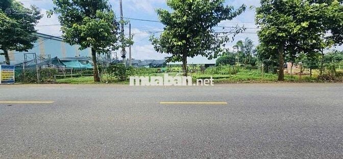 Phát mãi tài sản đất Láng Lớn Châu Đức|37x65 có 1.200m2 đất Ở