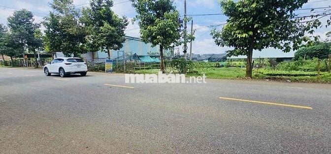 Phát mãi tài sản đất Láng Lớn Châu Đức|37x65 có 1.200m2 đất Ở