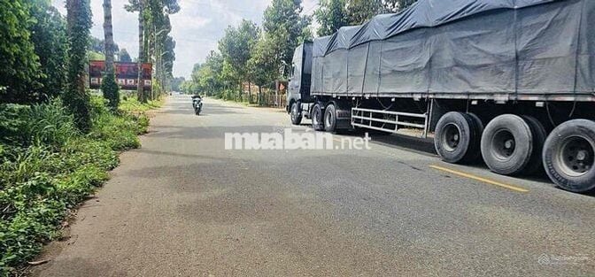 Phát mãi tài sản đất Láng Lớn Châu Đức|37x65 có 1.200m2 đất Ở