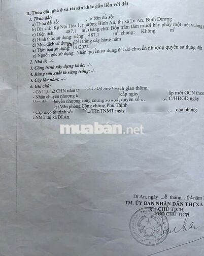 BÁN GẤP ĐẤT 487M2 ĐƯỜNG TRẦN ĐẠI NGHĨA NGAY TRƯỜNG, CHỢ, NHÀ THỜ, QL1K