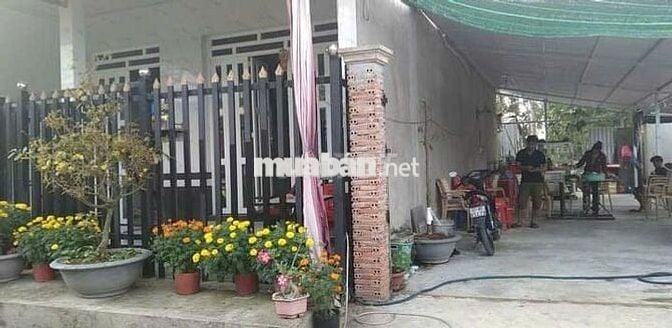 [BÁN GẤP] NHÀ VƯỜN KÉP 210M2 – MT 14M TẠI CHÂU PHÚ – DỌN VÀO Ở NGAY!