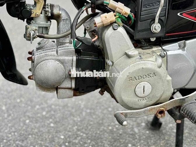 ❤️ Dream Sadoka 100 Hàn Quốc