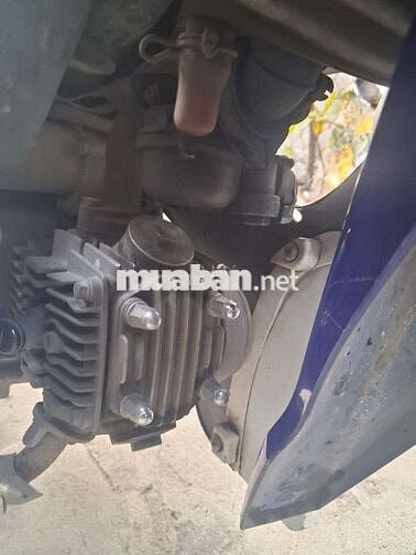 SYM Elegant 50 Xanh, Trắng