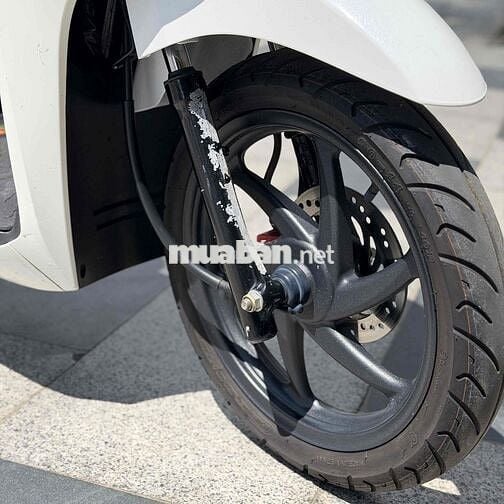 vison 2020 trắng đỏ