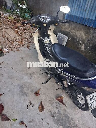 SYM Elegant 50 Xanh, Trắng