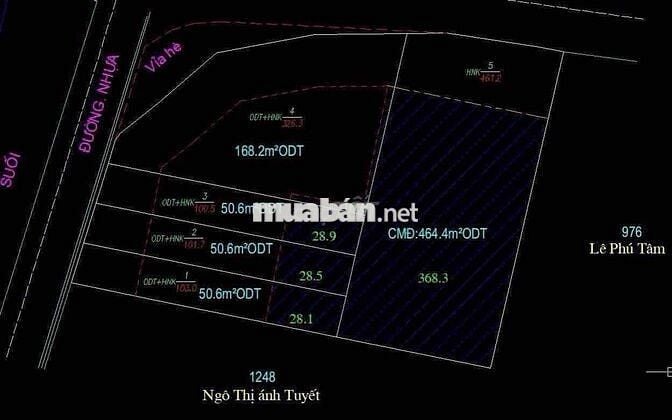 Đất 103m2 gần chợ Tân Bình, phường Tân Bình, Tp Dĩ An