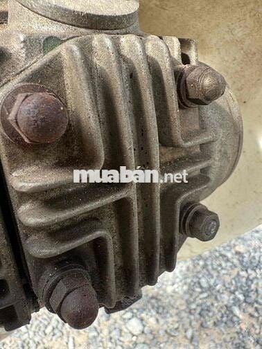 HONDA SUPPER CÚP 81. kim vàng giọt lệ. 1 chủ sài.