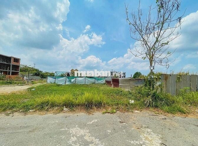 🌿 ĐẤT ĐẸP 1/ TỈNH LỘ 7 – XÃ THÁI MỸ, CỦ CHI - Giá 1,35 tỷ