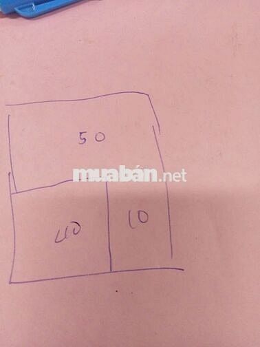 BÁN ĐẤT VƯỜN GIÁ TỐT – XÃ QUY ĐỨC, BÌNH CHÁNH | 5×10