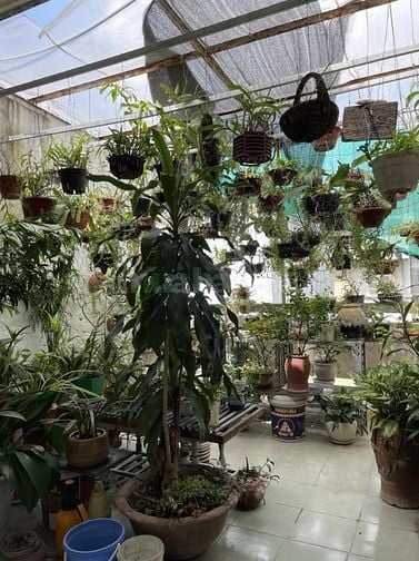 Mặt Ngõ Chợ Khâm Thiên - Đống Đa – 101M – 3 T – MT 4 M – Giá 25.3 Tỷ. 