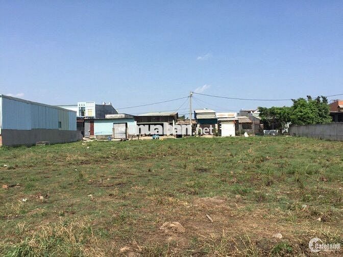 BÁN ĐẤT VƯỜN GIÁ TỐT – XÃ QUY ĐỨC, BÌNH CHÁNH | 5×10