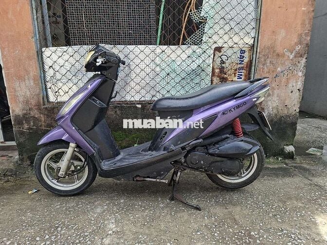 50c ko cần bằng lái