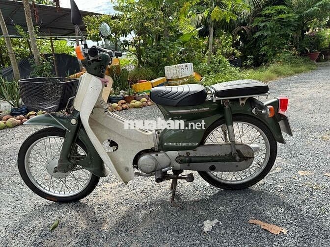 HONDA SUPPER CÚP 81. kim vàng giọt lệ. 1 chủ sài.