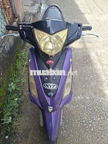 50c ko cần bằng lái