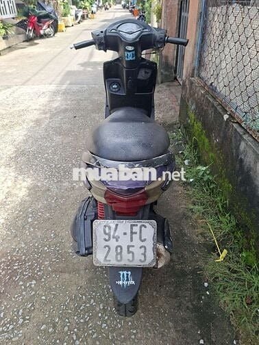 50c ko cần bằng lái