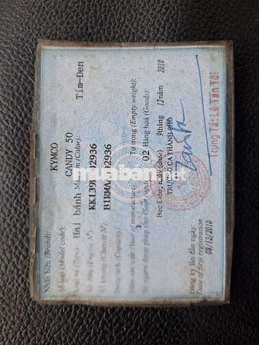 50c ko cần bằng lái