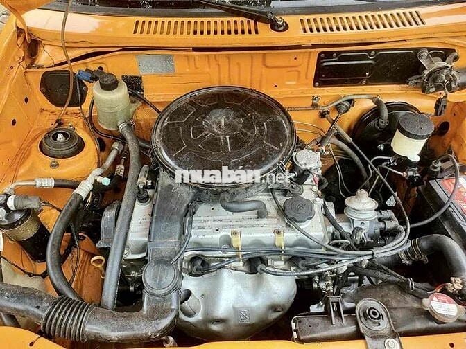 bán cd5 siêu đẹp