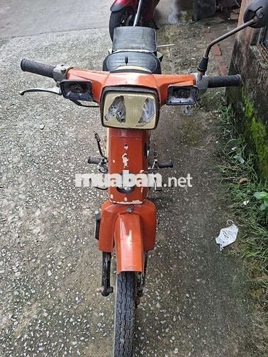 50c ko cần bằng lái