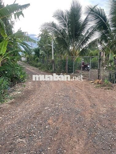 Bán 10m đất để dành có thổ cư giá chỉ 28 triệu/ m cách ngã 6 BMT 18km