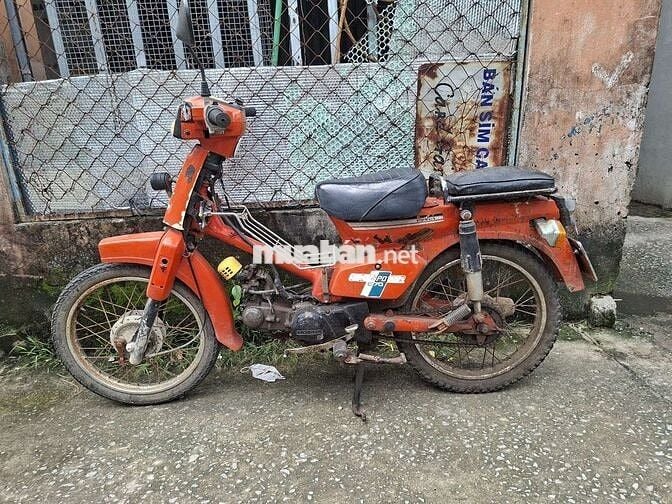 50c ko cần bằng lái