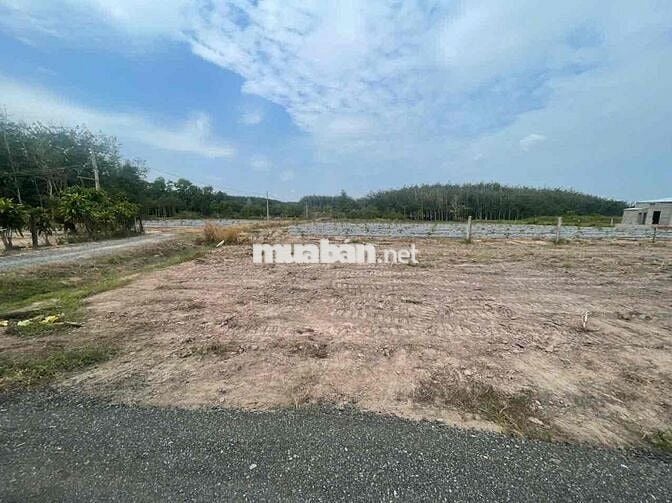 Đất gần KCN Hiệp Thạnh Gò Dầu gia chỉ 260tr