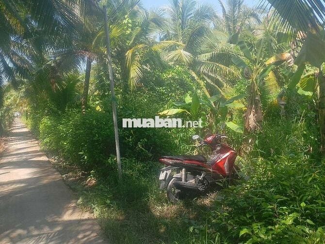 Đất vườn dừa tổng 3662m2, có 600m2 thổ cư,mặt tiền đường lộ đan